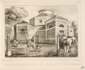 primer zoologico moderno Ménagerie du Jardin des Plantes Paris 1793