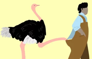 avestruces de granja atraccion sexual a cuidadores humanos