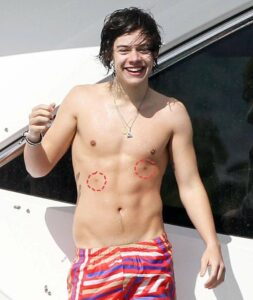 Harry Styles cuatro tetillas