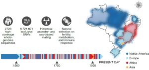 ascendencia europea en Brasil