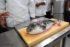 comer peces globo con tetrodotoxina japon